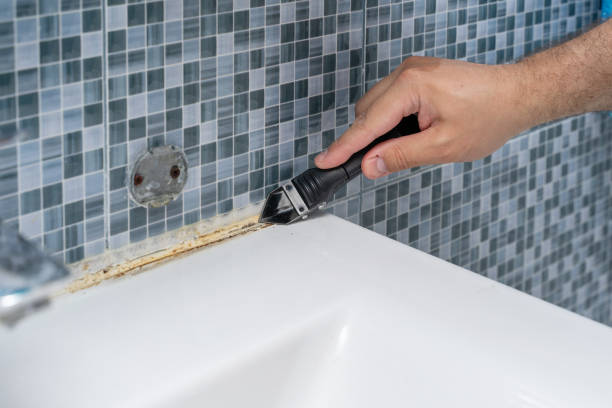Best Insurance-Related Mold Remediation in Kingsley, MI